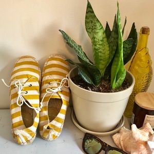 GAP Mustard Espadrilles